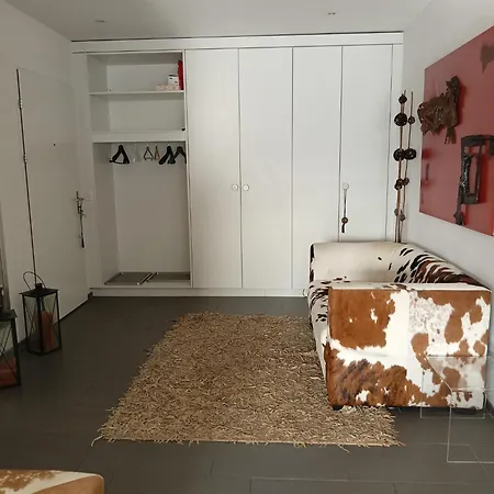 Luxury Penthouse 4 Bedroom 8 Min Walk To Wef Apartment Davos